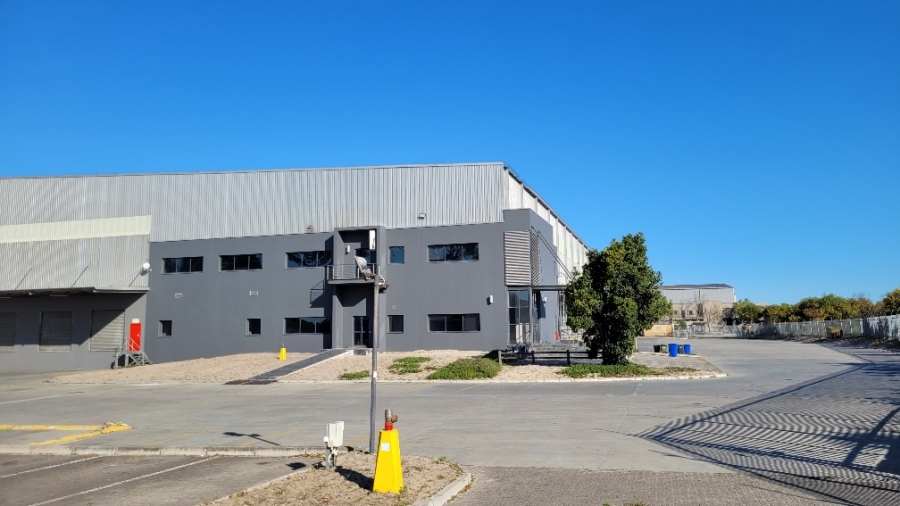 To Let commercial Property for Rent in Parow Industrial Western Cape